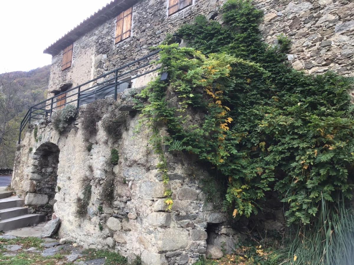 Mas Graffouil Leilighet Prats-de-Mollo-la-Preste Eksteriør bilde